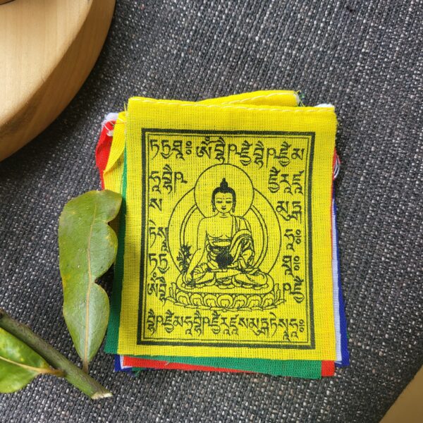 Bandiere Buddha Medicina